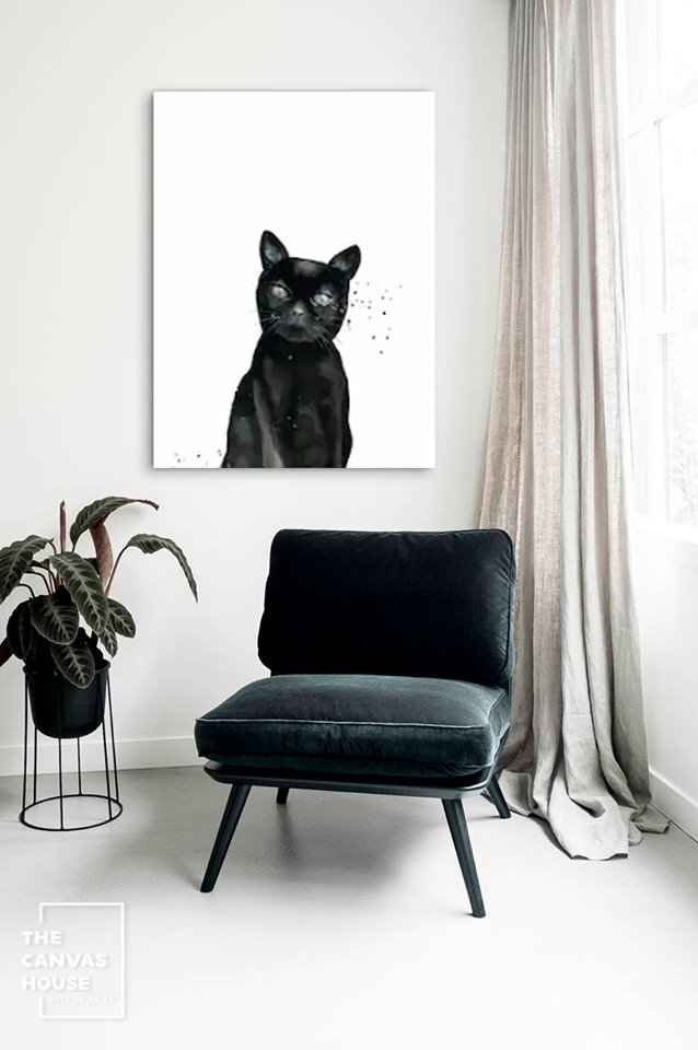 67104730_2475196452543374_4283031951251603456_n