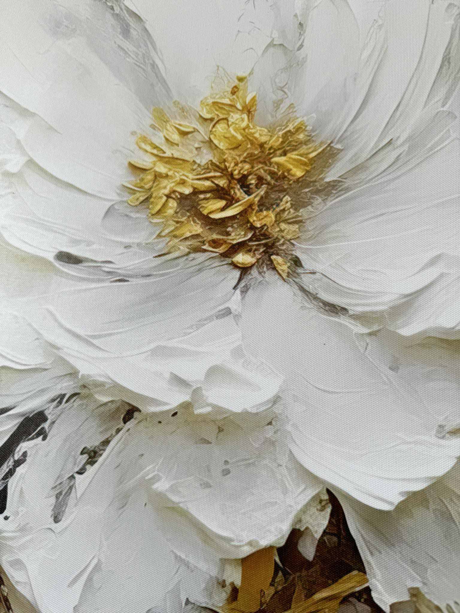 414274398_911029831023499_346084344229791581_n-2